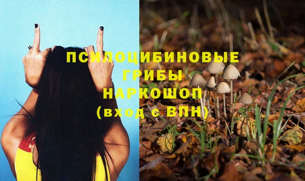 крисы Белоозёрский