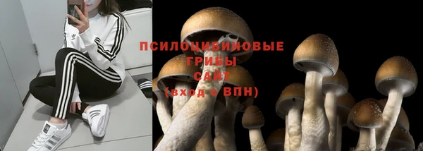 ГАЛЛЮЦИНОГЕННЫЕ ГРИБЫ Михайлов