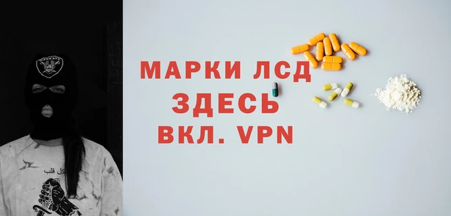 шишки Беломорск